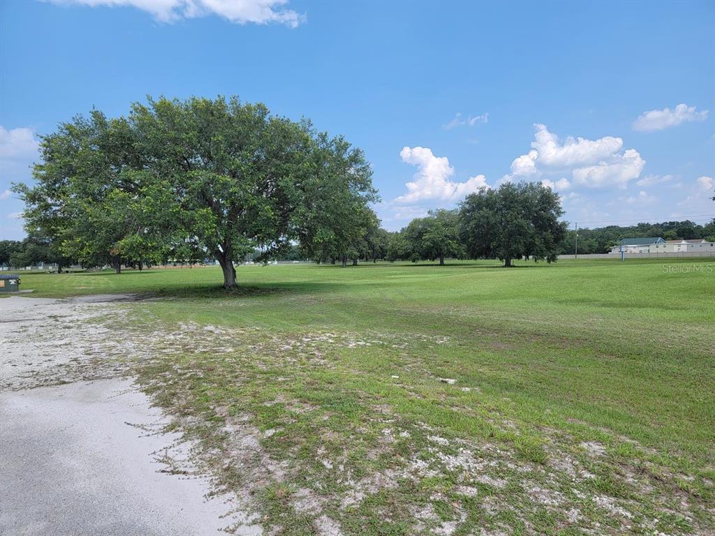 a view of a field with an trees