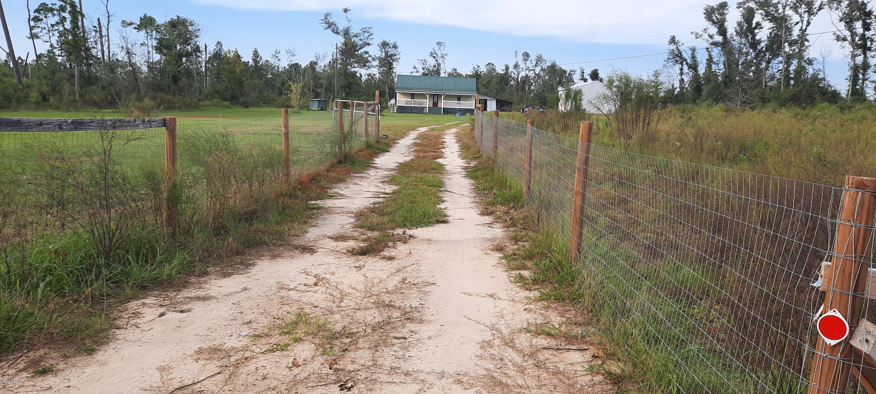 5364 Turk Road Marianna, FL 32448 - Photo 6 of 46 Gallery Image 6