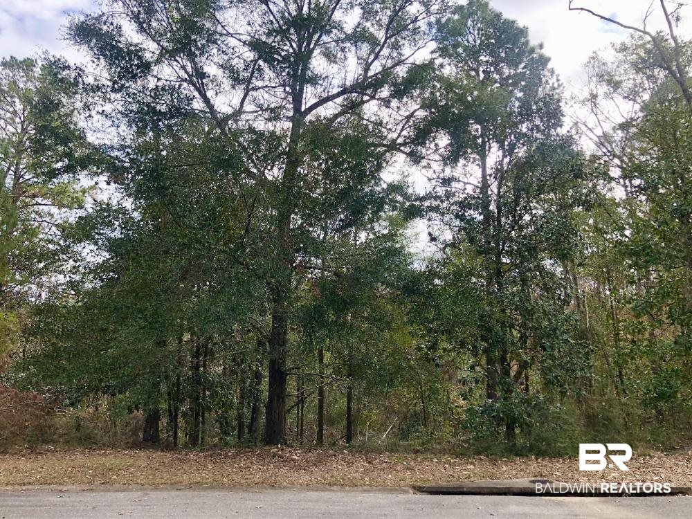 0 Merriwether Court Daphne, AL 36527 - Photo 2 of 7