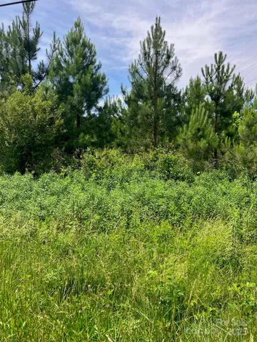 $596,960 | 0 Renee Ford Road, Stanfield, NC 28163