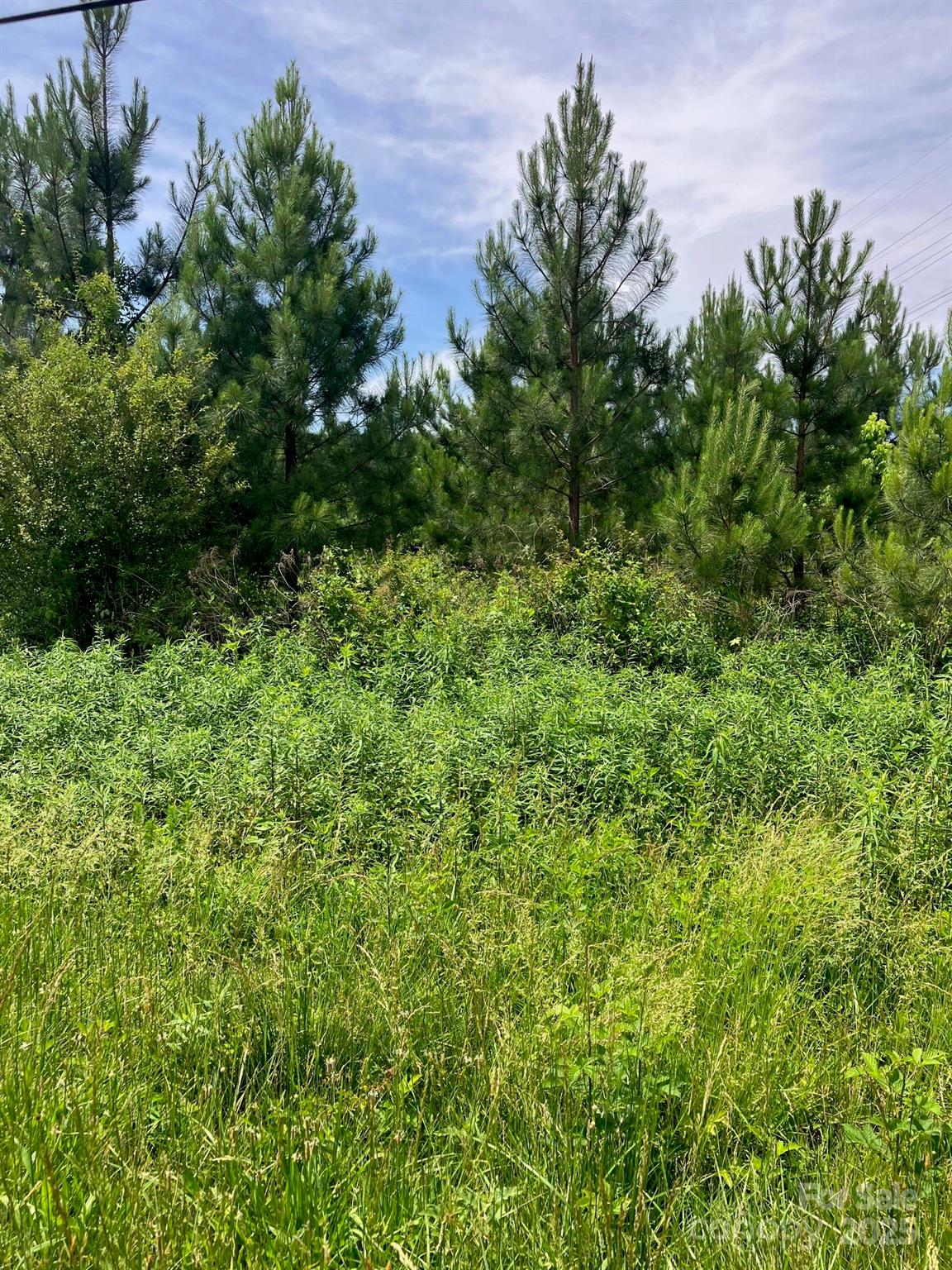 0 Renee Ford Road Stanfield, NC 28163 - Photo 2 of 6