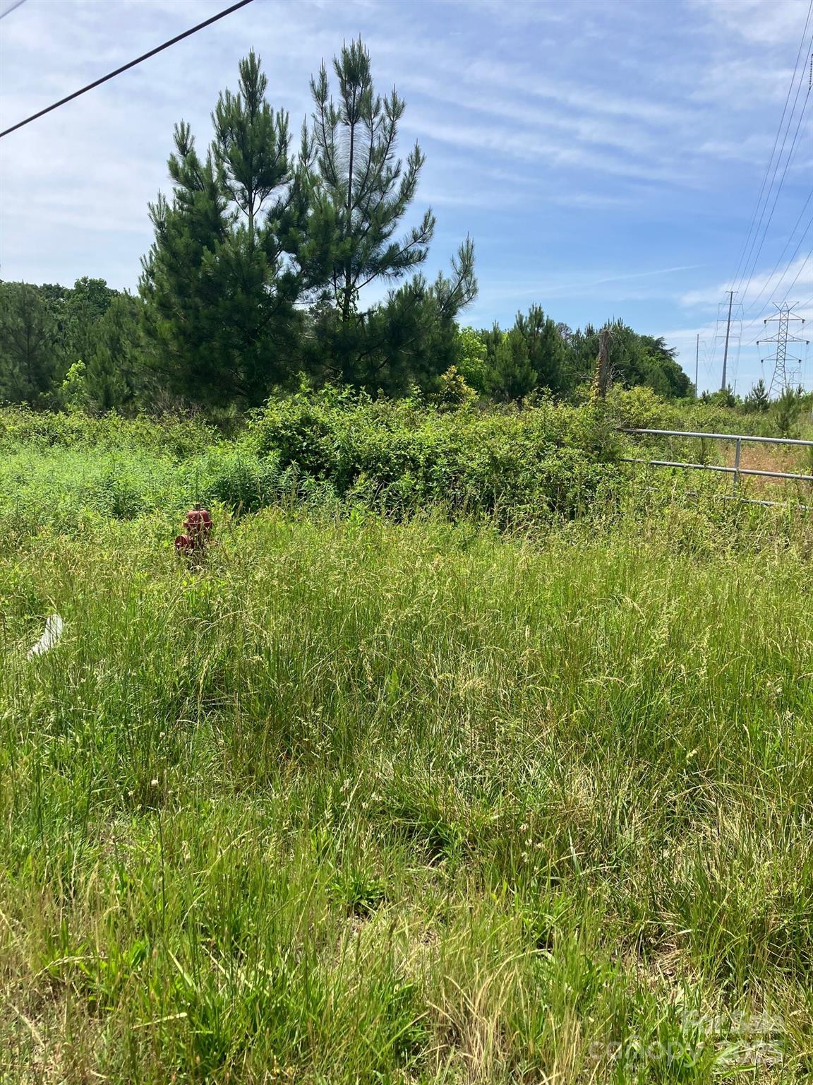 0 Renee Ford Road Stanfield, NC 28163 - Photo 3 of 6