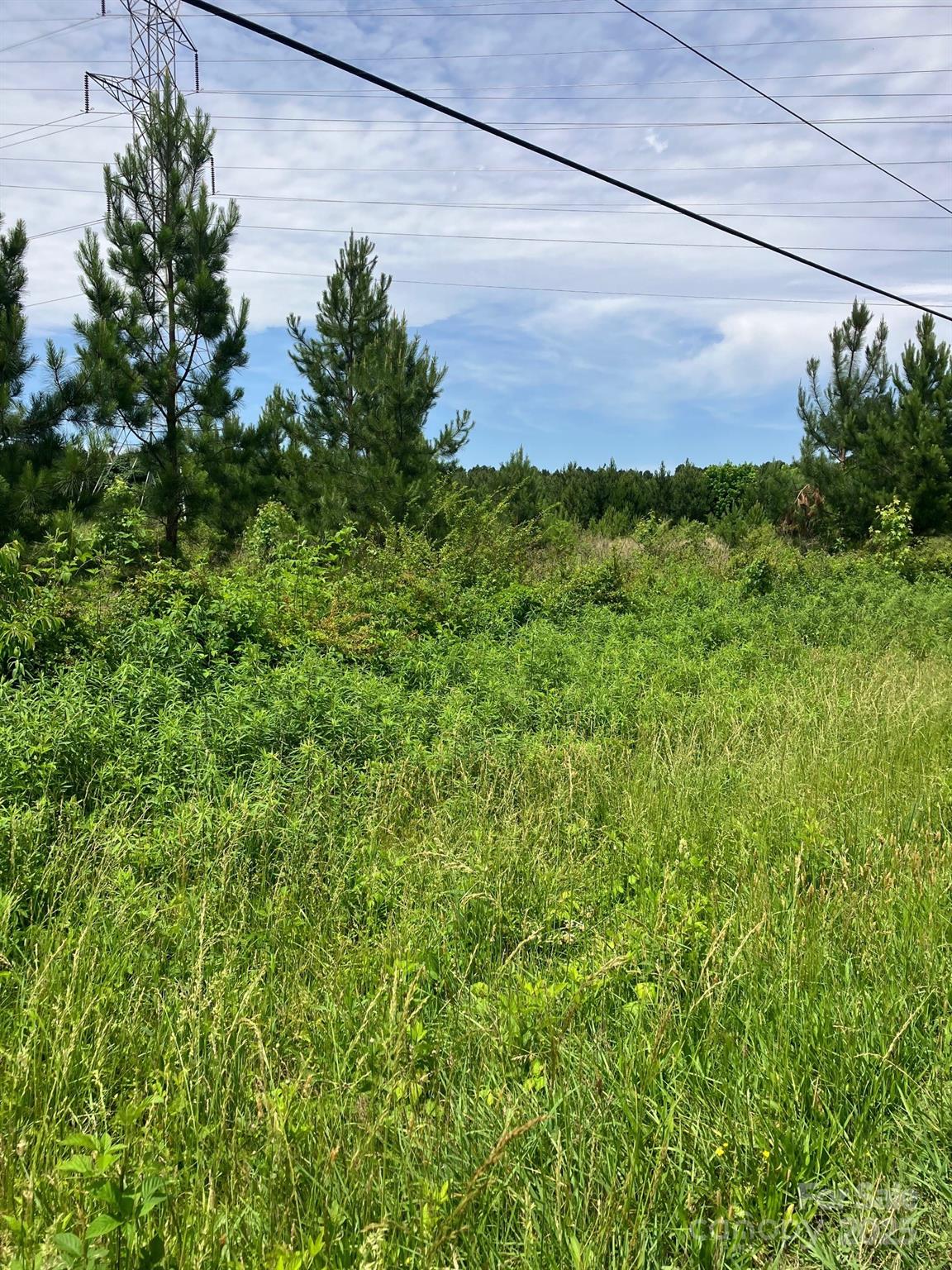 0 Renee Ford Road Stanfield, NC 28163 - Photo 5 of 6