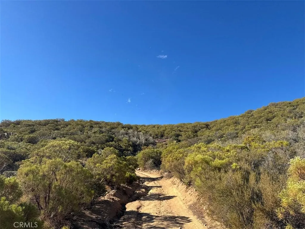 0 Chapman Road Anza, CA 92539 - Photo 11 of 17