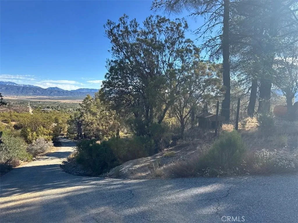 0 Chapman Road Anza, CA 92539 - Photo 6 of 17