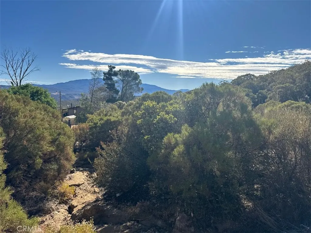 0 Chapman Road Anza, CA 92539 - Photo 9 of 17