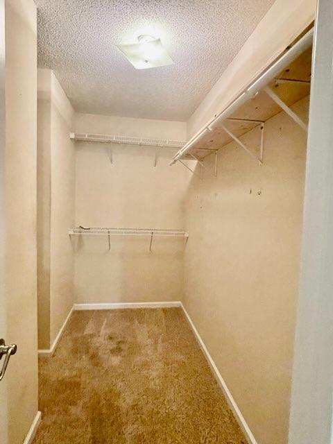 227 Primrose Drive Dothan, AL 36303 - Photo 7 of 10