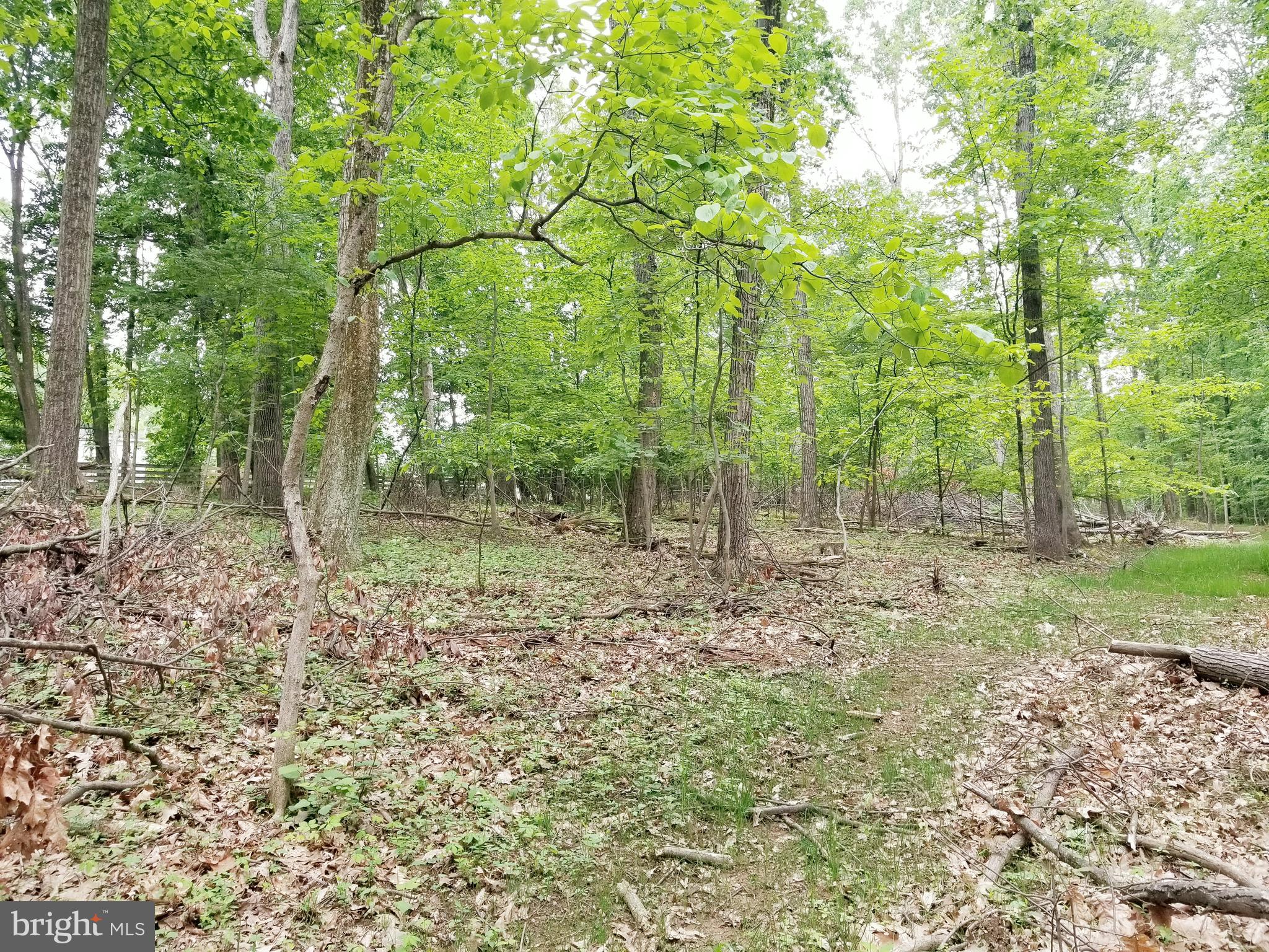 Parcel #288 Parcel Road Westminster, MD 21157 - Photo 1 of 12