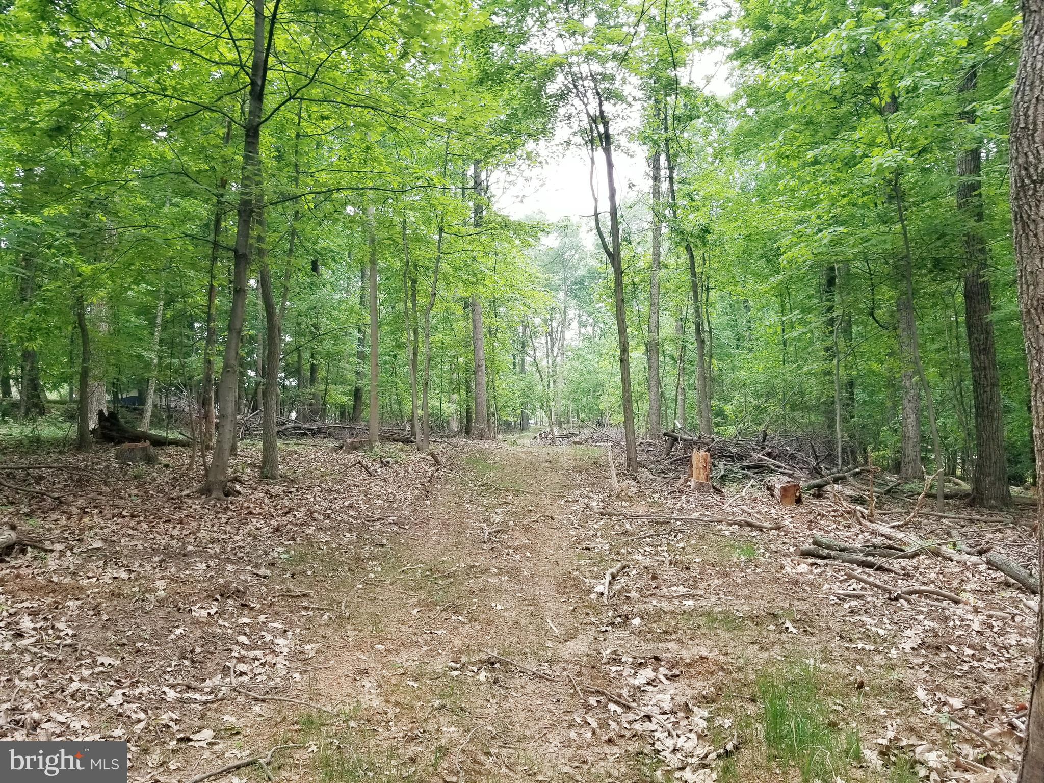Parcel #288 Parcel Road Westminster, MD 21157 - Photo 2 of 12
