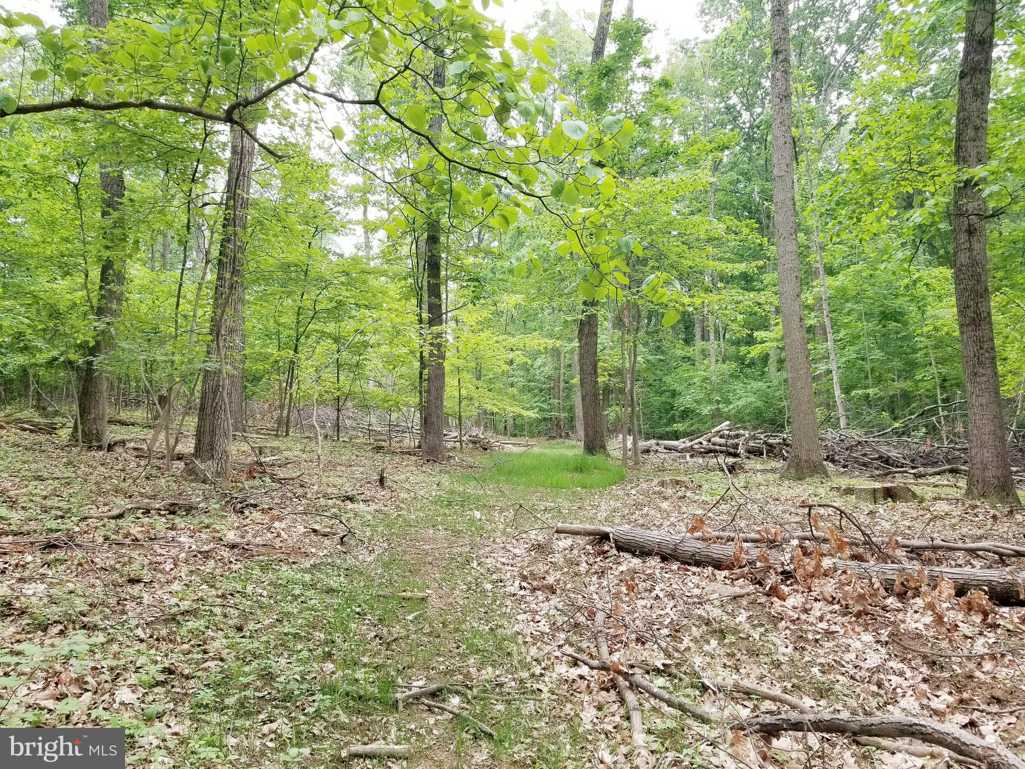 Parcel #288 Parcel Road Westminster, MD 21157 - Photo 5 of 12