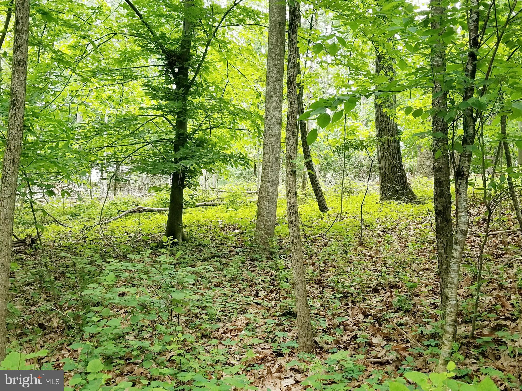 Parcel #288 Parcel Road Westminster, MD 21157 - Photo 6 of 12