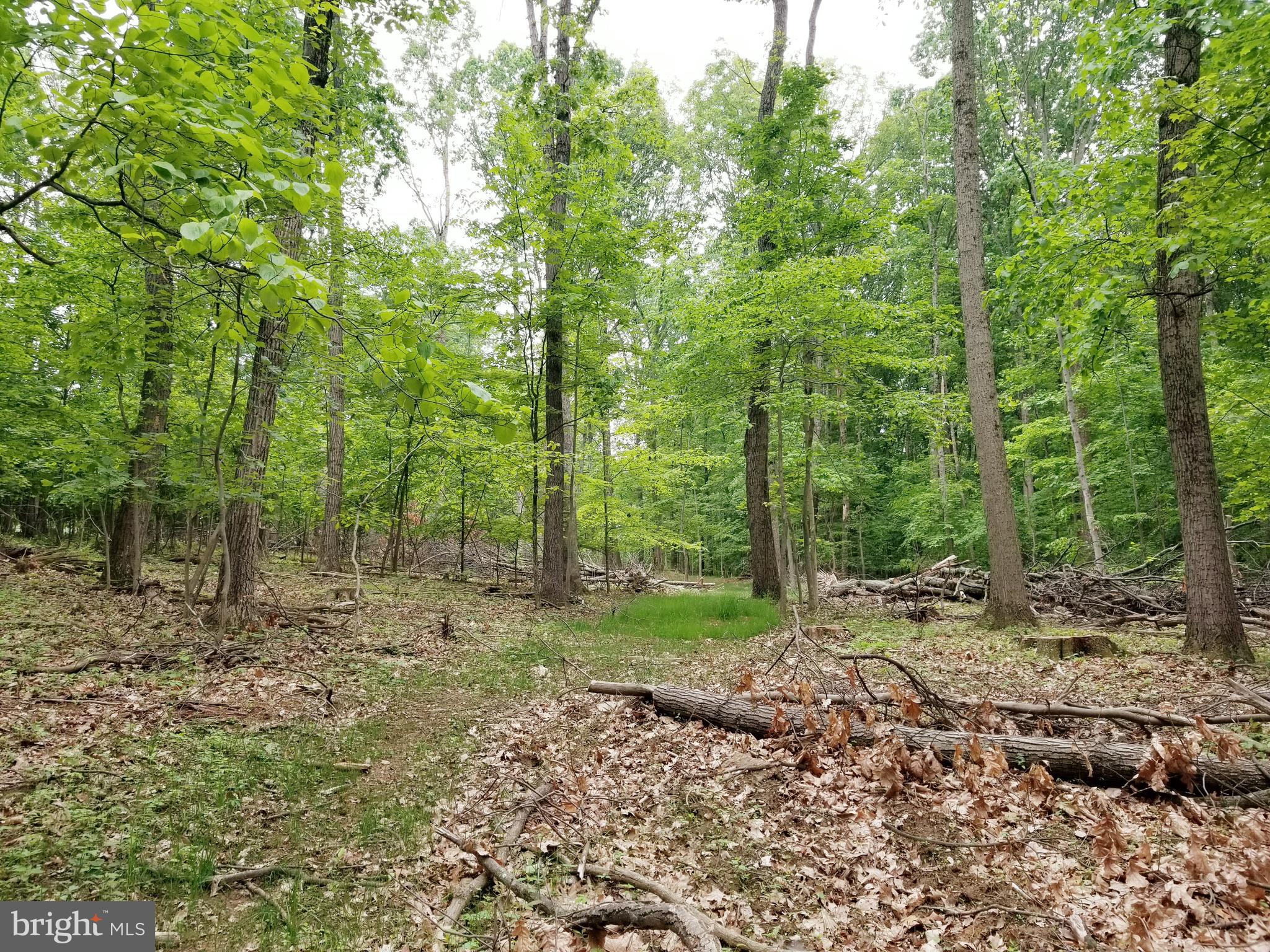 Parcel #288 Parcel Road Westminster, MD 21157 - Photo 8 of 12