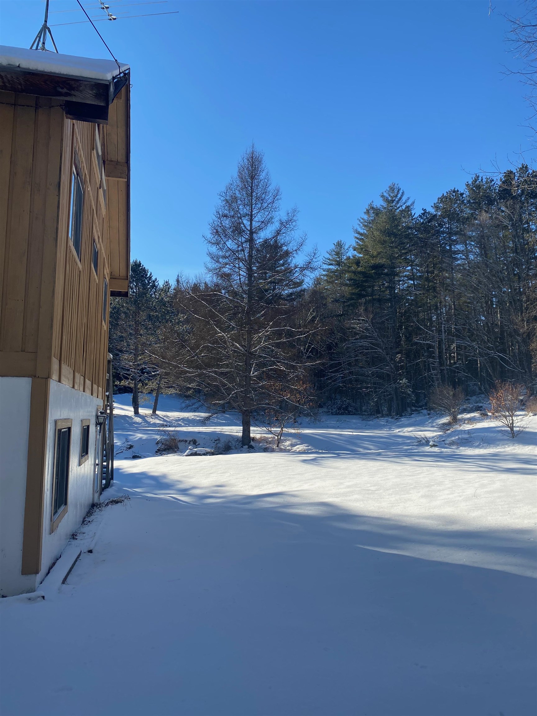 1301 Landgrove Road Londonderry, VT 05148 - Photo 5 of 28