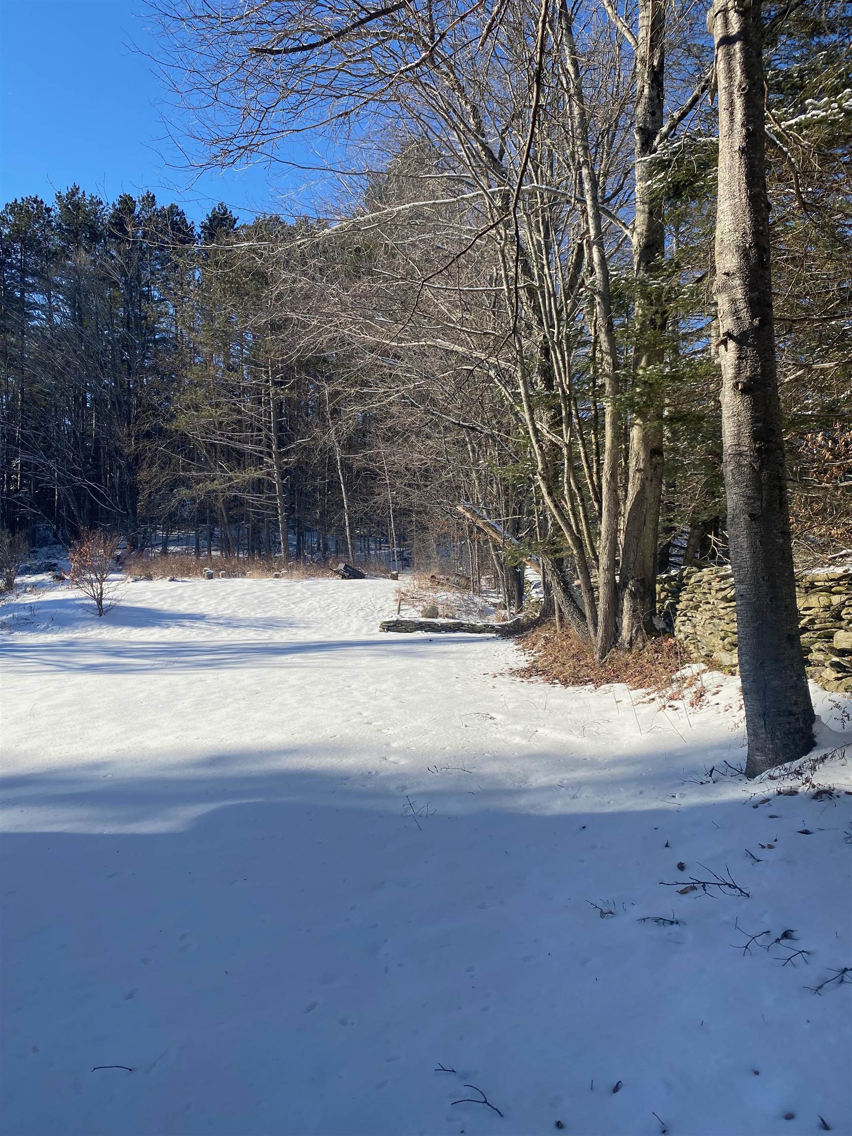 1301 Landgrove Road Londonderry, VT 05148 - Photo 6 of 28