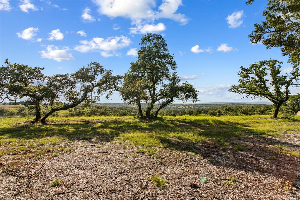 Lot 12 Ridgeway Trail Johnson City, TX 78636 - Photo 18 of 26 a view of a yard with a tree