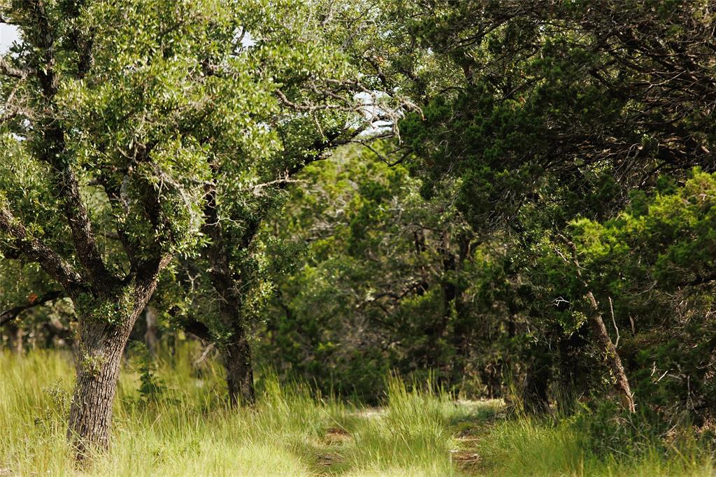 Lot 12 Ridgeway Trail Johnson City, TX 78636 - Photo 19 of 26 a view of a yard