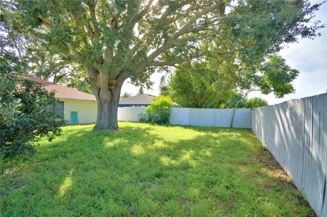 a view of backyard with tree