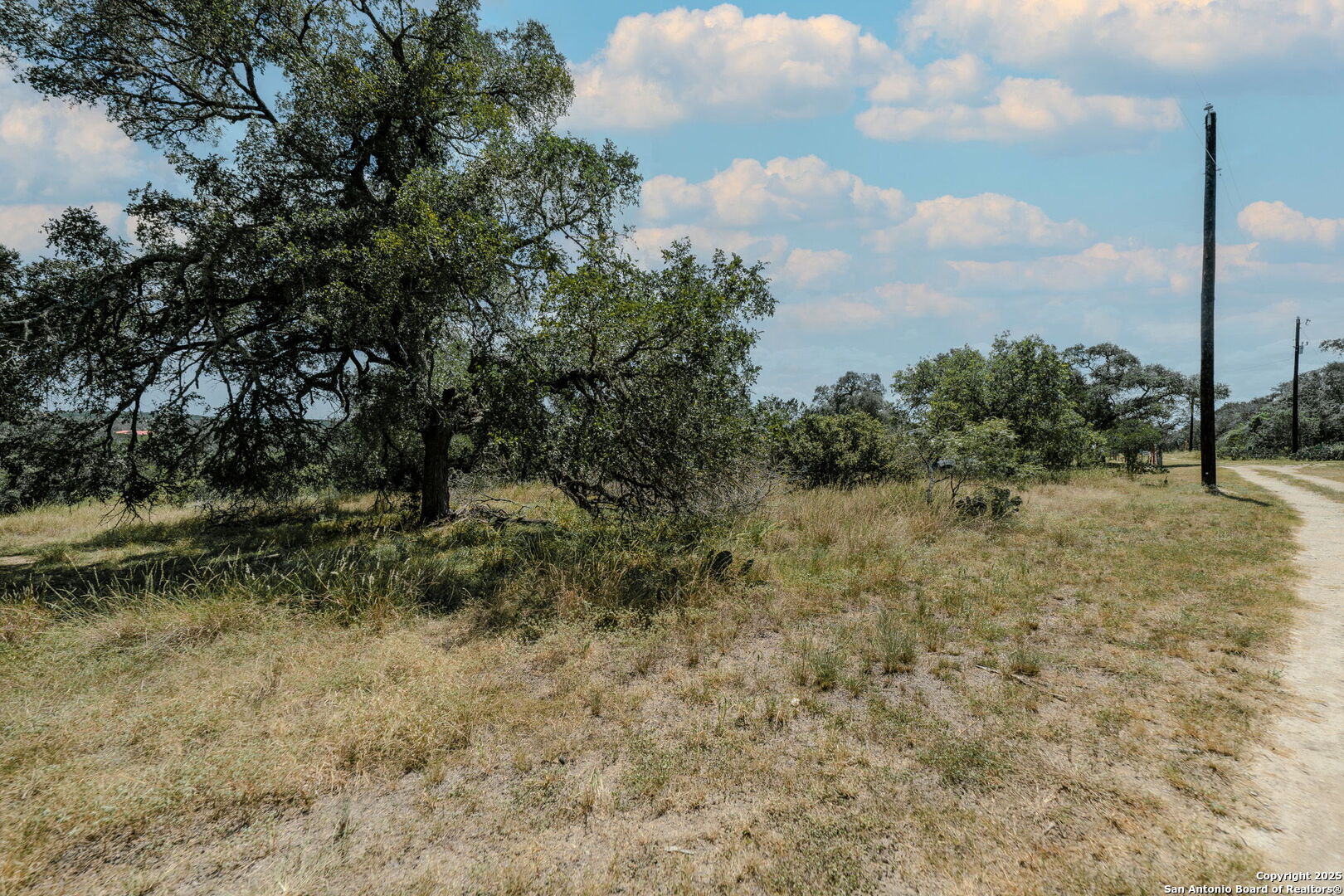 268 Recreation Spring Branch, TX 78133 - Photo 10 of 13 a view of a forest with a tree in the background