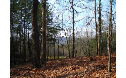 3 Jonica Gap Road Morganton, GA 30560 - Photo 1 of 1 Main View