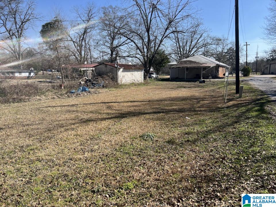 24 Crown Road Ramer, AL 36069 - Photo 4 of 20