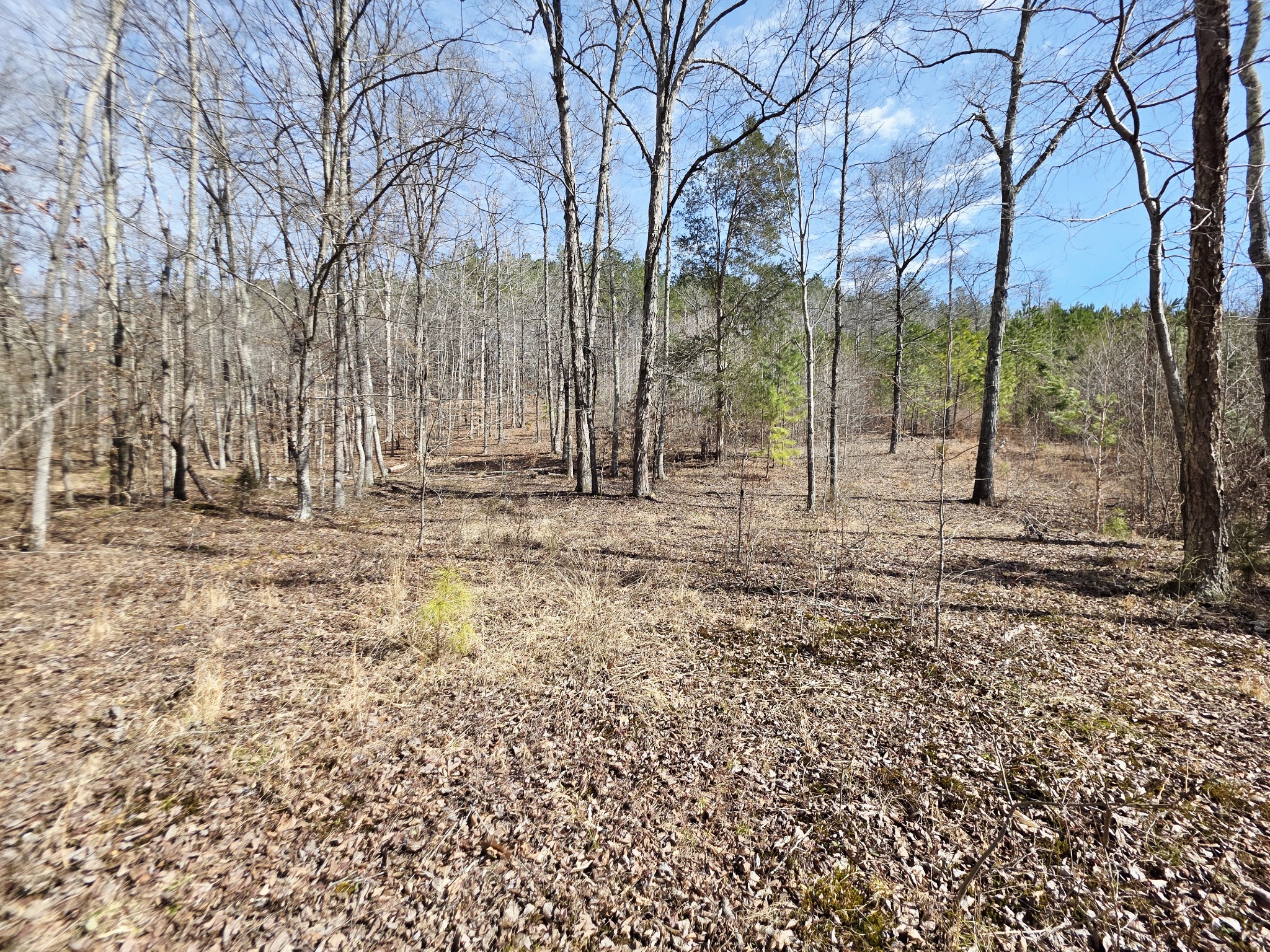 0 Birdsong Road Holladay, TN 38341 - Photo 12 of 70