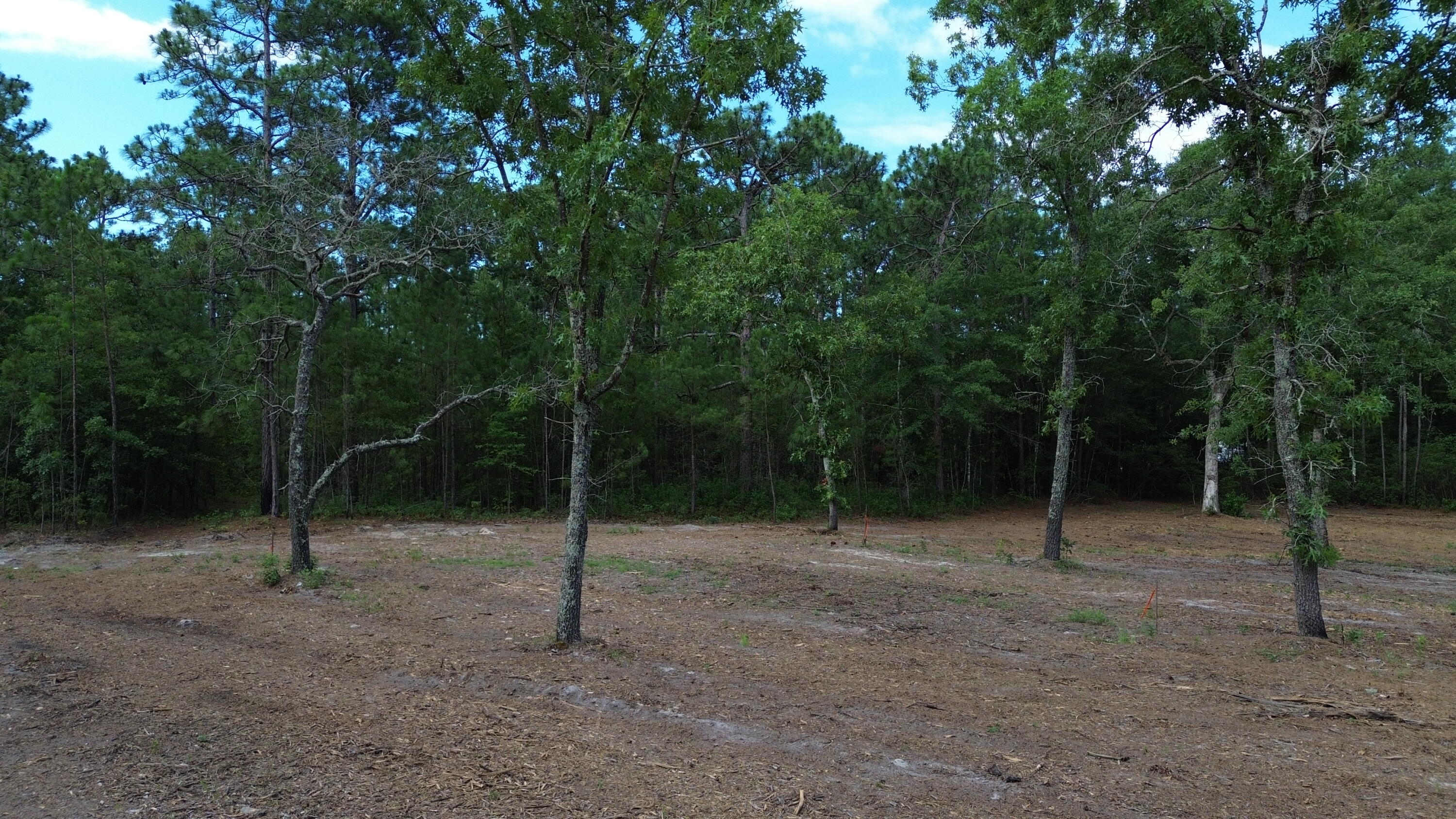 2 Trojan Road Cross, SC 29436 - Photo 13 of 17