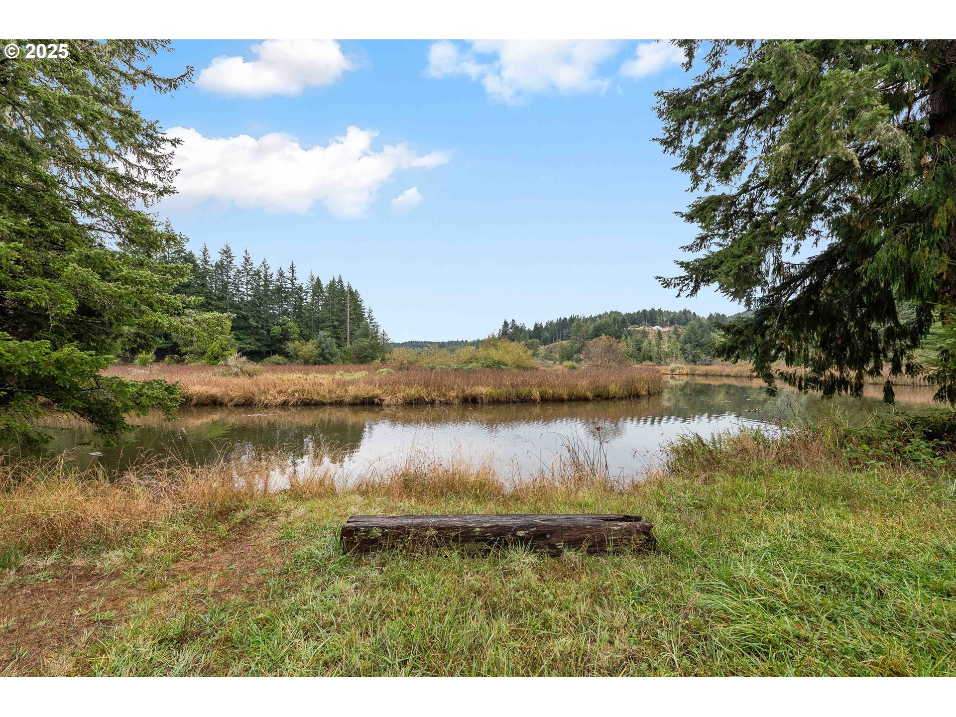 61007 Old Wagon Road Coos Bay, OR 97420 - Photo 41 of 48 Gallery Image 41