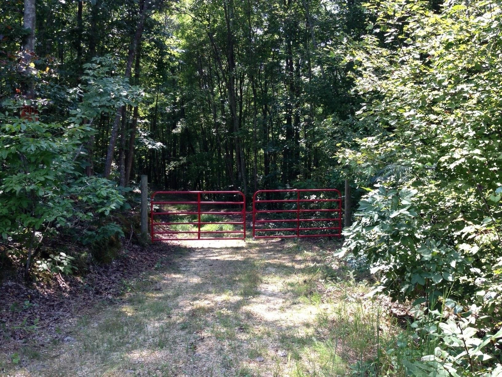0 Co Road Riceville, TN 37370 - Photo 3 of 11 Gallery Image 3