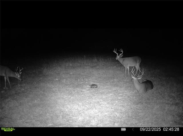 Tract C Boomerang Road Amite, LA 70422 - Photo 11 of 24