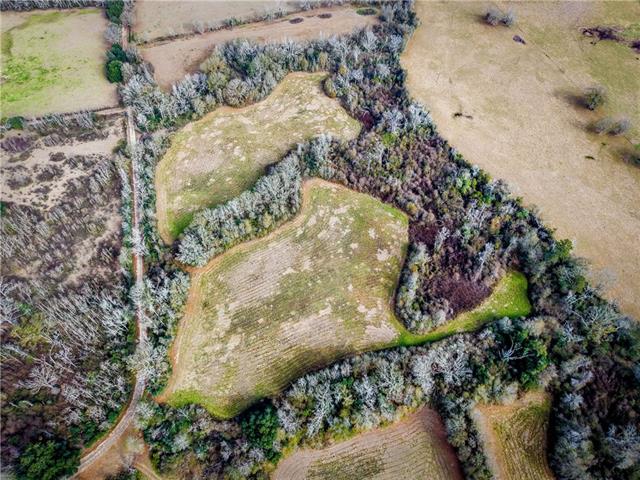 Tract C Boomerang Road Amite, LA 70422 - Photo 17 of 24