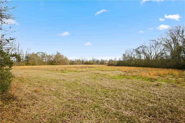 Tract C Boomerang Road Amite, LA 70422 - Photo 4 of 24