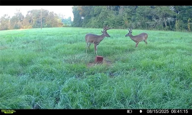 $85,000 | Tract C Boomerang Road, Amite, LA 70422