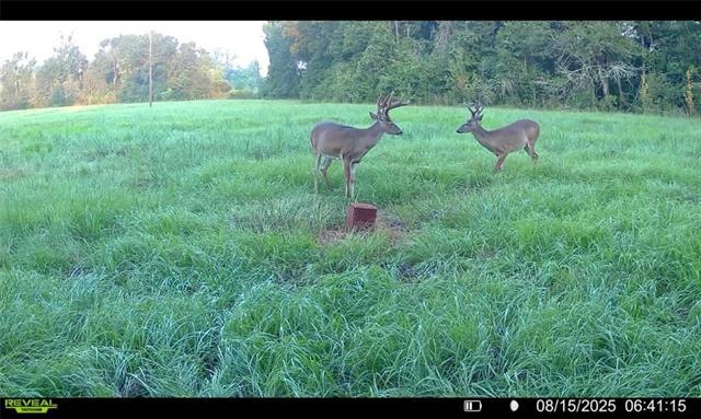 Tract C Boomerang Road Amite, LA 70422 - Photo 6 of 24