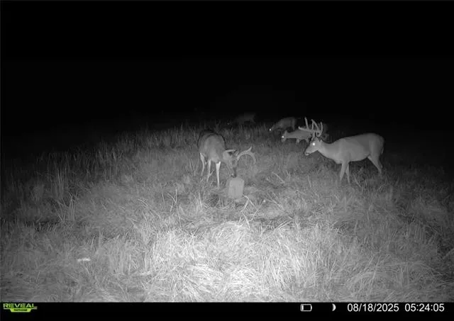 $85,000 | Tract C Boomerang Road, Amite, LA 70422