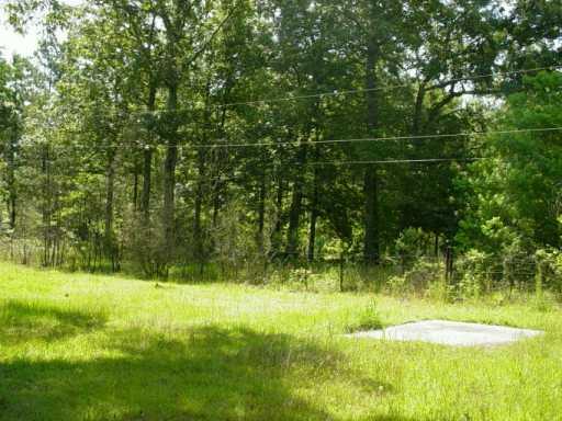 17965 Balfontz Road Springfield, LA 70462 - Photo 3 of 5