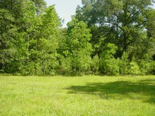 17965 Balfontz Road Springfield, LA 70462 - Photo 4 of 5