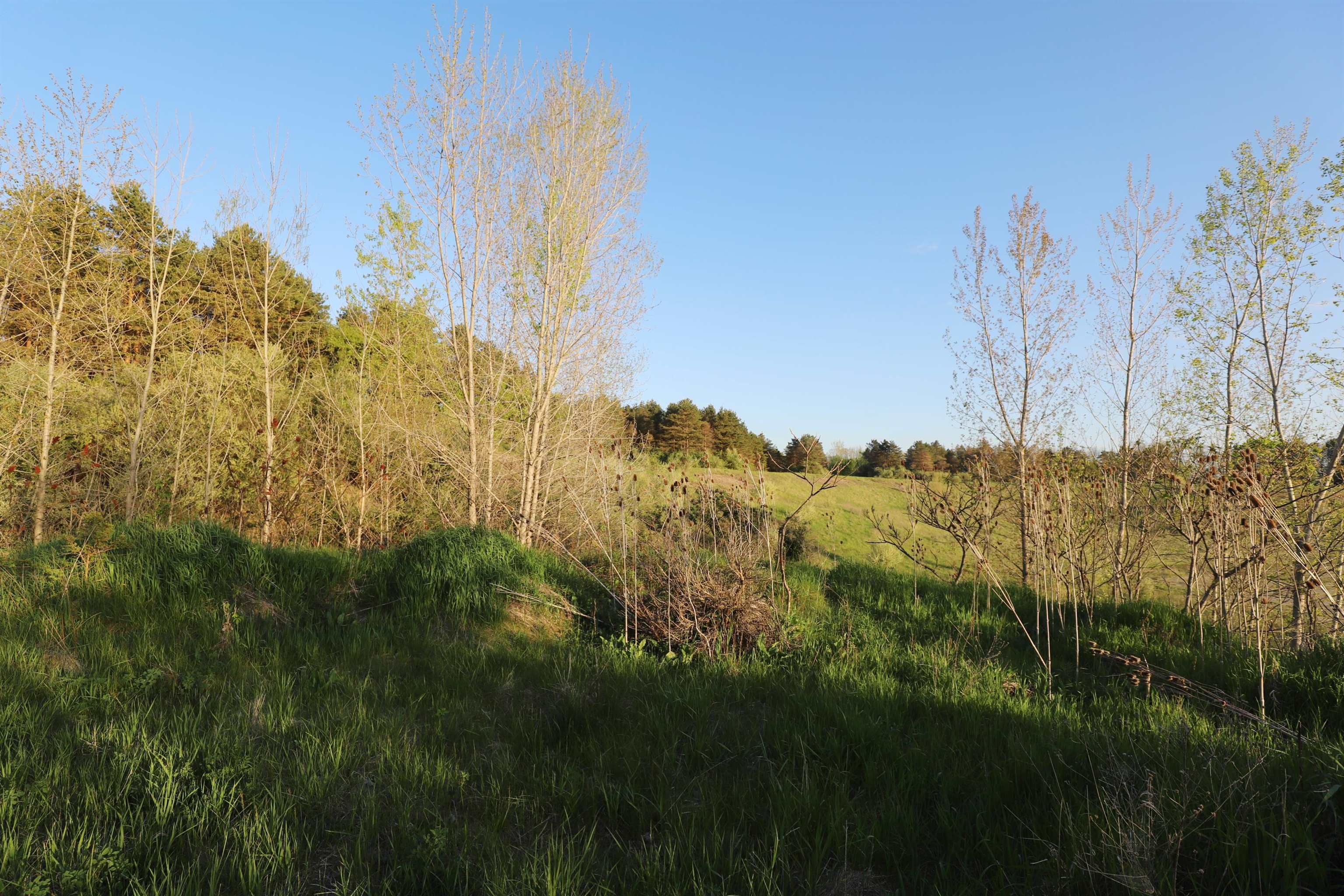 10241 North McKinley Road Montrose, MI 48457 - Photo 25 of 38