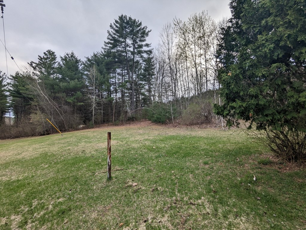 169 Moss Road Lewis, NY 12950 - Photo 4 of 36 Gallery Image 4