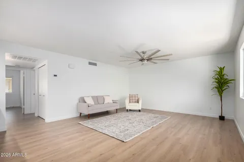 a living room with a couch and a potted plant