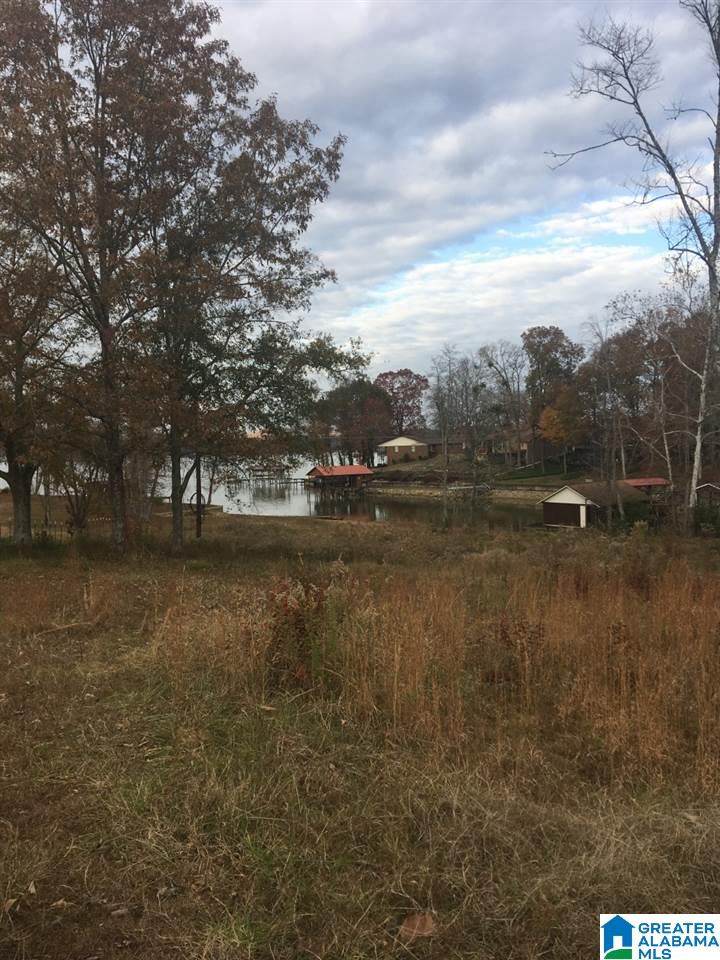 0 County Road 520, Unit 3 Centre, AL 35960 - Photo 1 of 2