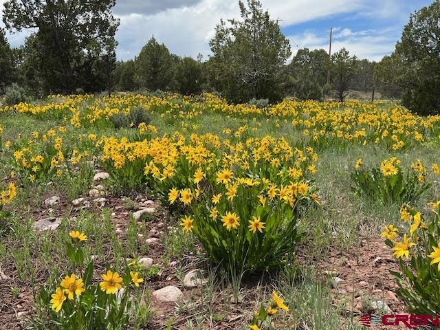 63 Sagewood Drive Ignacio, CO 81137 - Photo 29 of 33