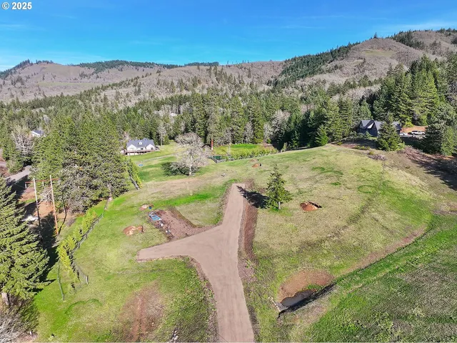 a view of a swimming pool with a yard