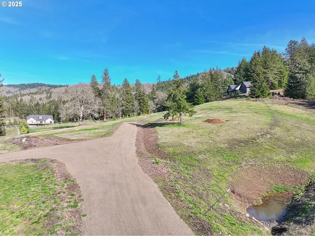 a view of a road with a yard
