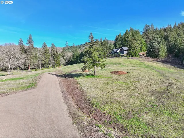 a view of a road with a yard