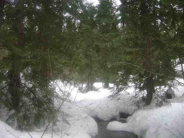 0 Smalle Creek Road Usk, WA 99180 - Photo 1 of 9 Gallery Image 1
