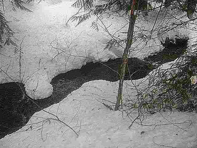 0 Smalle Creek Road Usk, WA 99180 - Photo 3 of 9 Gallery Image 3