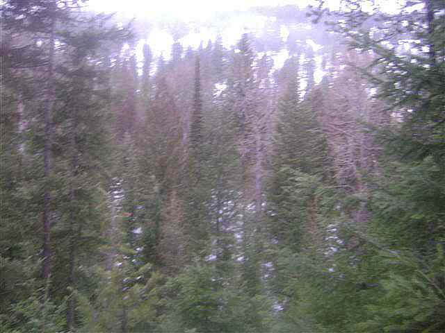 0 Smalle Creek Road Usk, WA 99180 - Photo 7 of 9 Gallery Image 7
