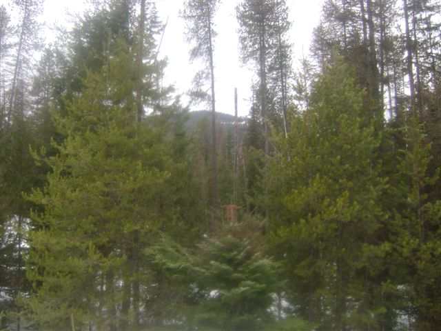 0 Smalle Creek Road Usk, WA 99180 - Photo 9 of 9 Gallery Image 9