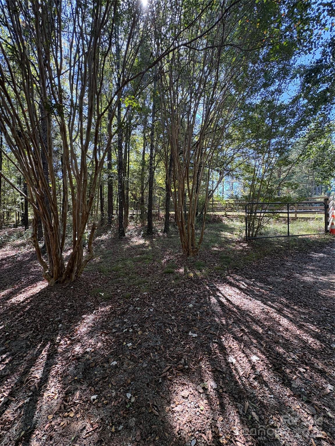 8101 Waxhaw Creek Road Waxhaw, NC 28173 - Photo 5 of 10 a view of a forest with trees in the background