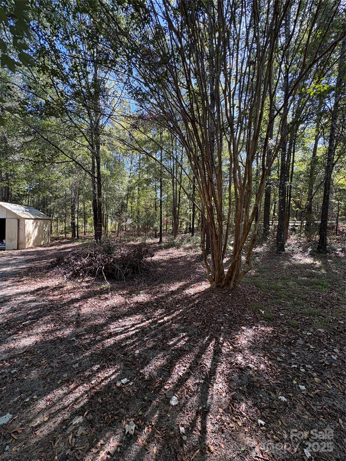 8101 Waxhaw Creek Road Waxhaw, NC 28173 - Photo 6 of 10 a view of outdoor space with trees